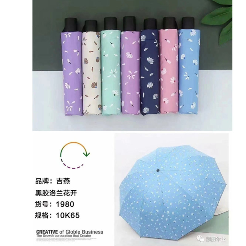 吉燕黑胶洛兰花开
