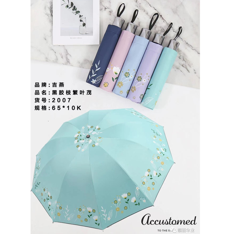 吉燕黑胶枝繁叶茂